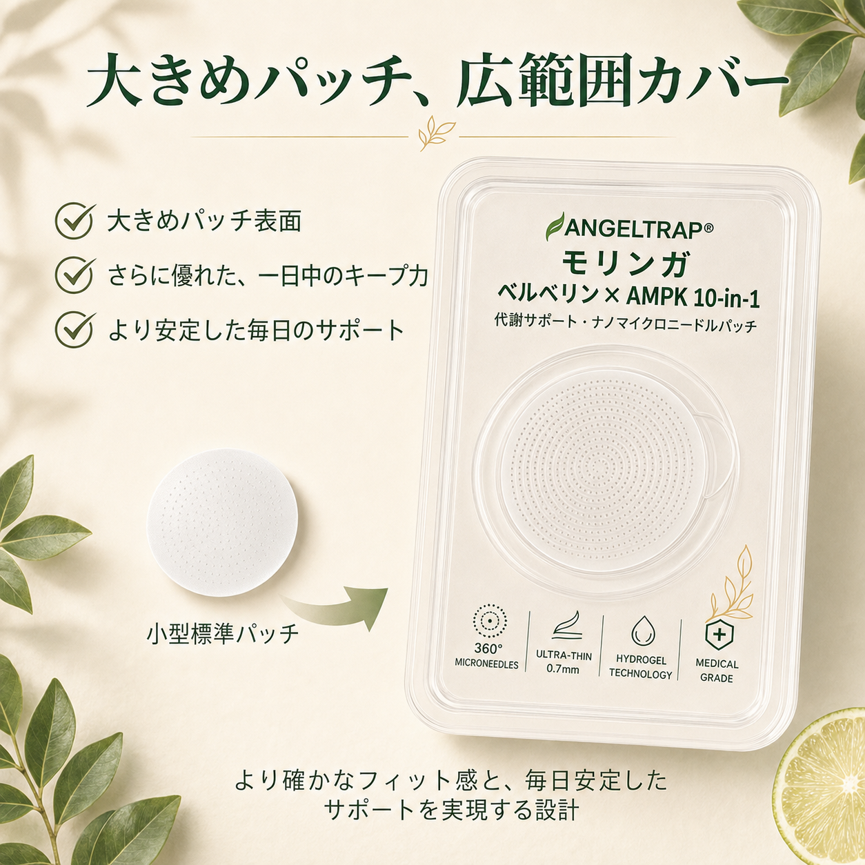 🎁 残りあと5箱のみ！今ならさらに50%OFF！理想の体型と健康を手に入れましょう。今を逃すと、次のチャンスは来年までありません。