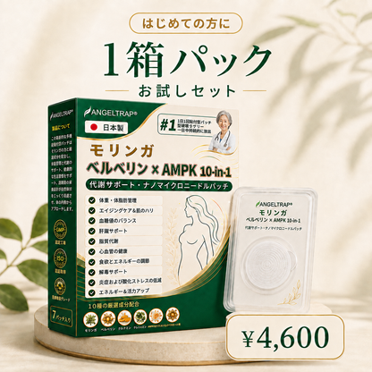 🎁 残りあと5箱のみ！今ならさらに50%OFF！理想の体型と健康を手に入れましょう。今を逃すと、次のチャンスは来年までありません。